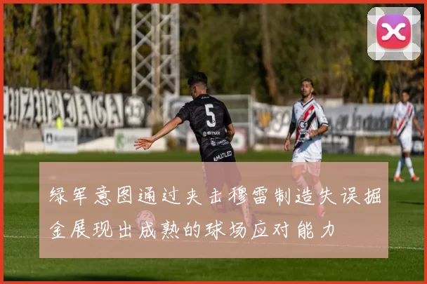 绿军意图通过夹击穆雷制造失误掘金展现出成熟的球场应对能力